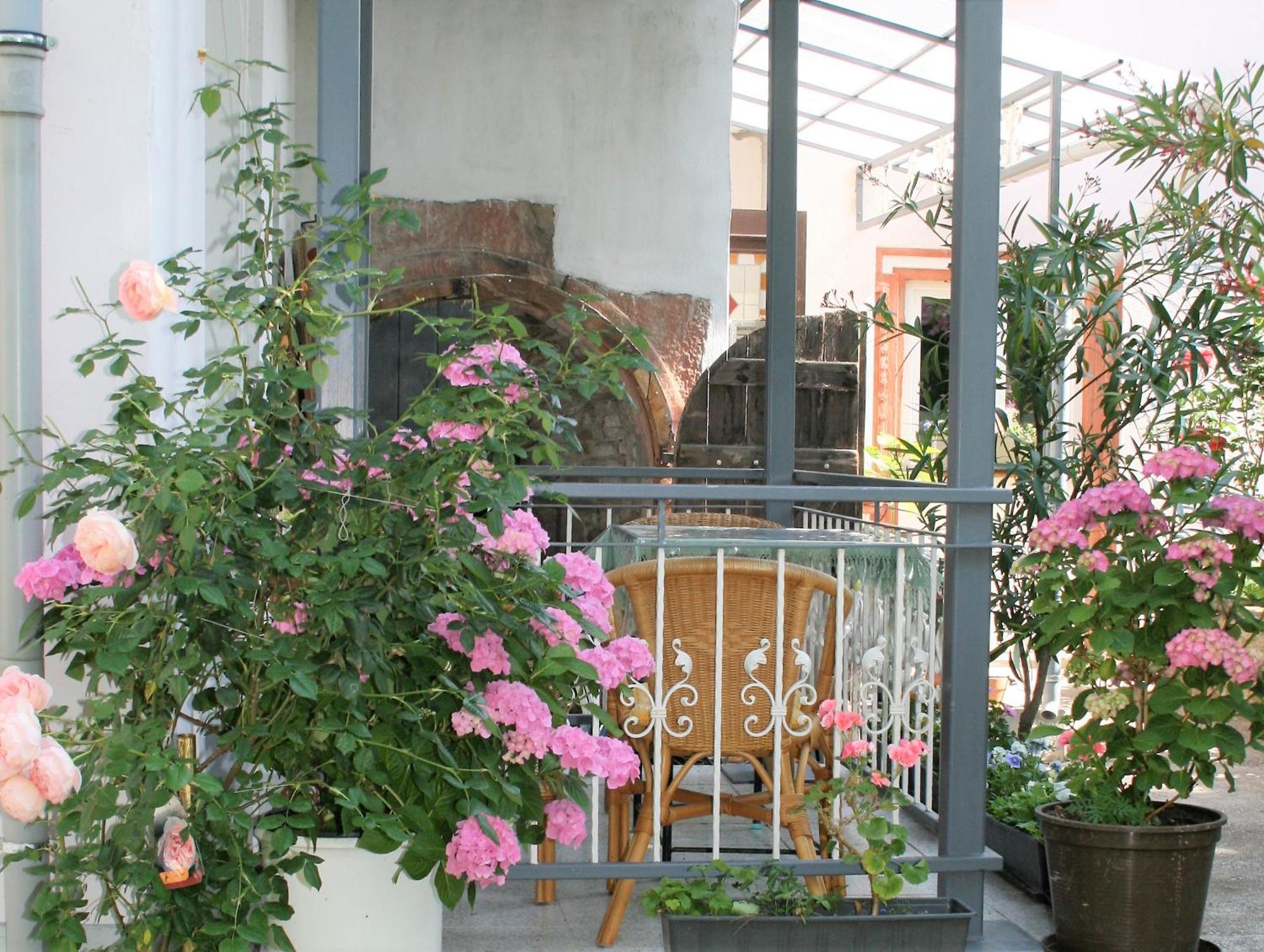 Herrenhof Worms Ngoại thất bức ảnh